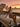 Havana one-piece swimsuit on a vintage convertible along the Malecón at dusk — House of Yas editorial