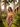 Las Carolinas one-piece swimsuit in a palm-lined Cuban colonial garden at golden hour — House of Yas editorial