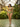 Green Tiles high-waisted bikini in a fern-filled Havana conservatory — House of Yas editorial